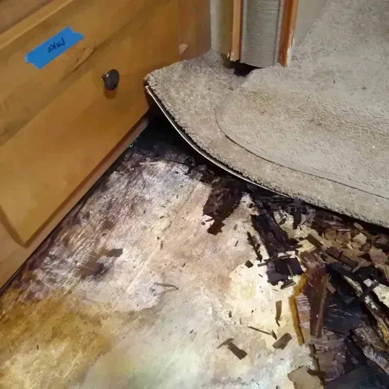 Wood Floor Water Damage in New Lexington, OH